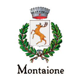 logo montaione